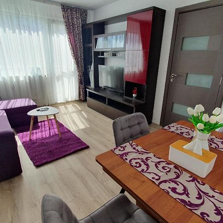 Andrei Apartment Braşov Dış mekan fotoğraf