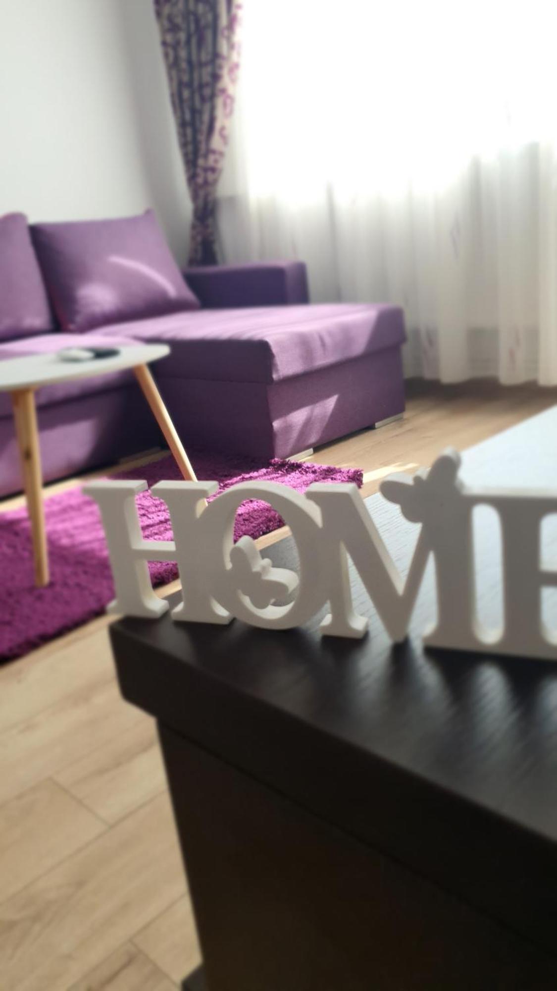 Andrei Apartment Braşov Dış mekan fotoğraf