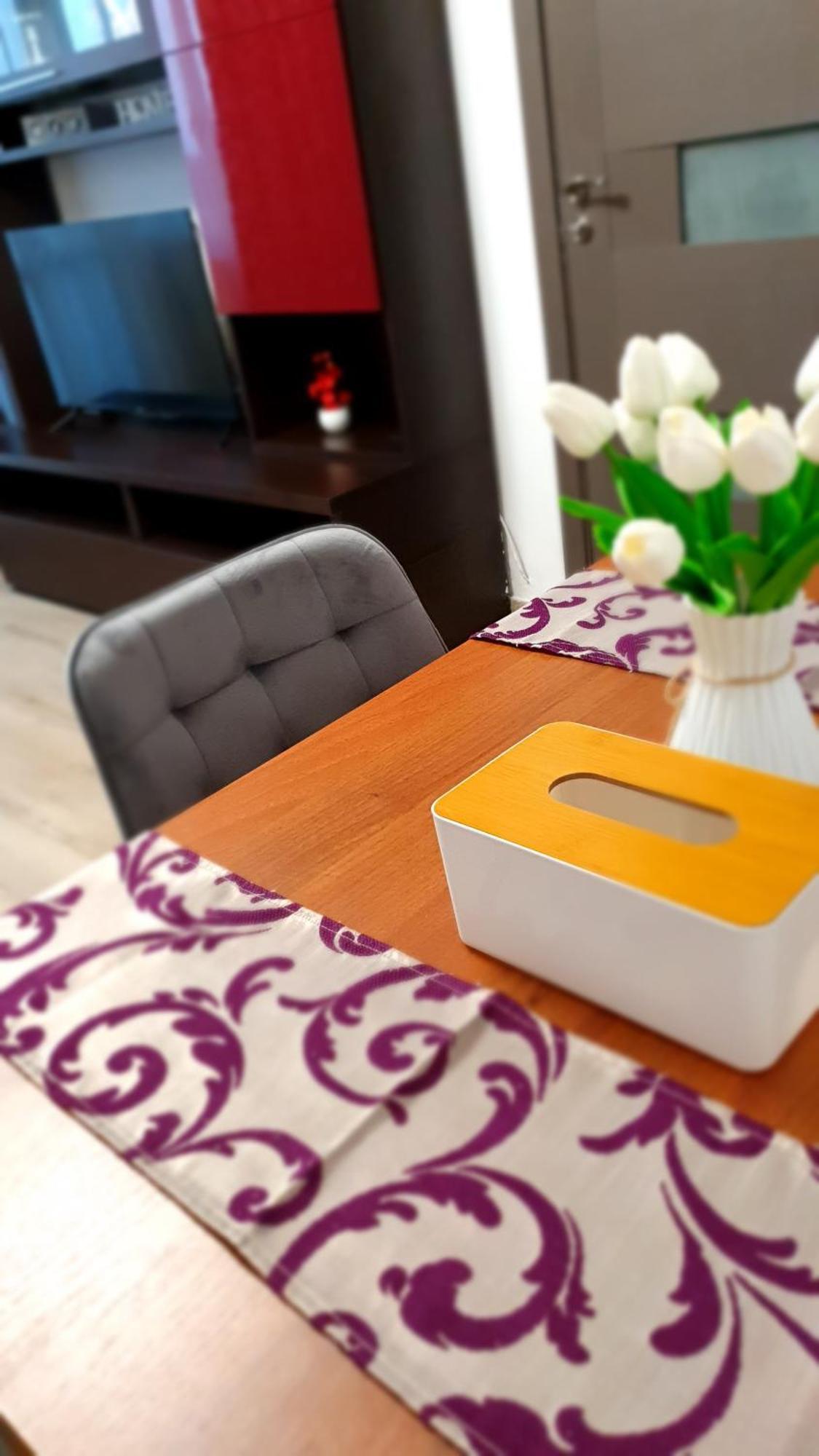 Andrei Apartment Braşov Dış mekan fotoğraf