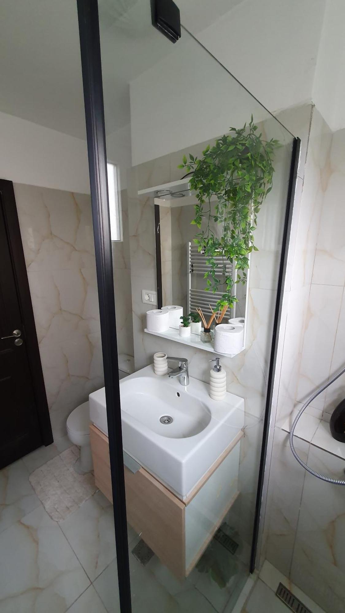 Andrei Apartment Braşov Dış mekan fotoğraf
