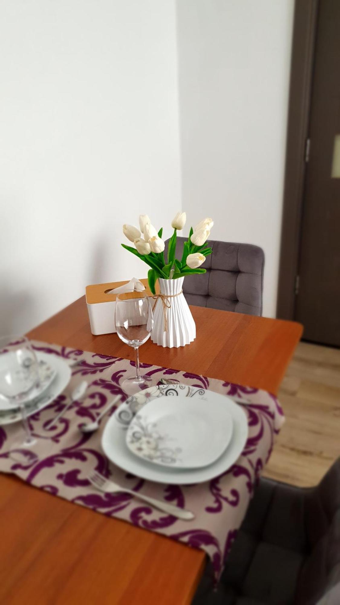 Andrei Apartment Braşov Dış mekan fotoğraf