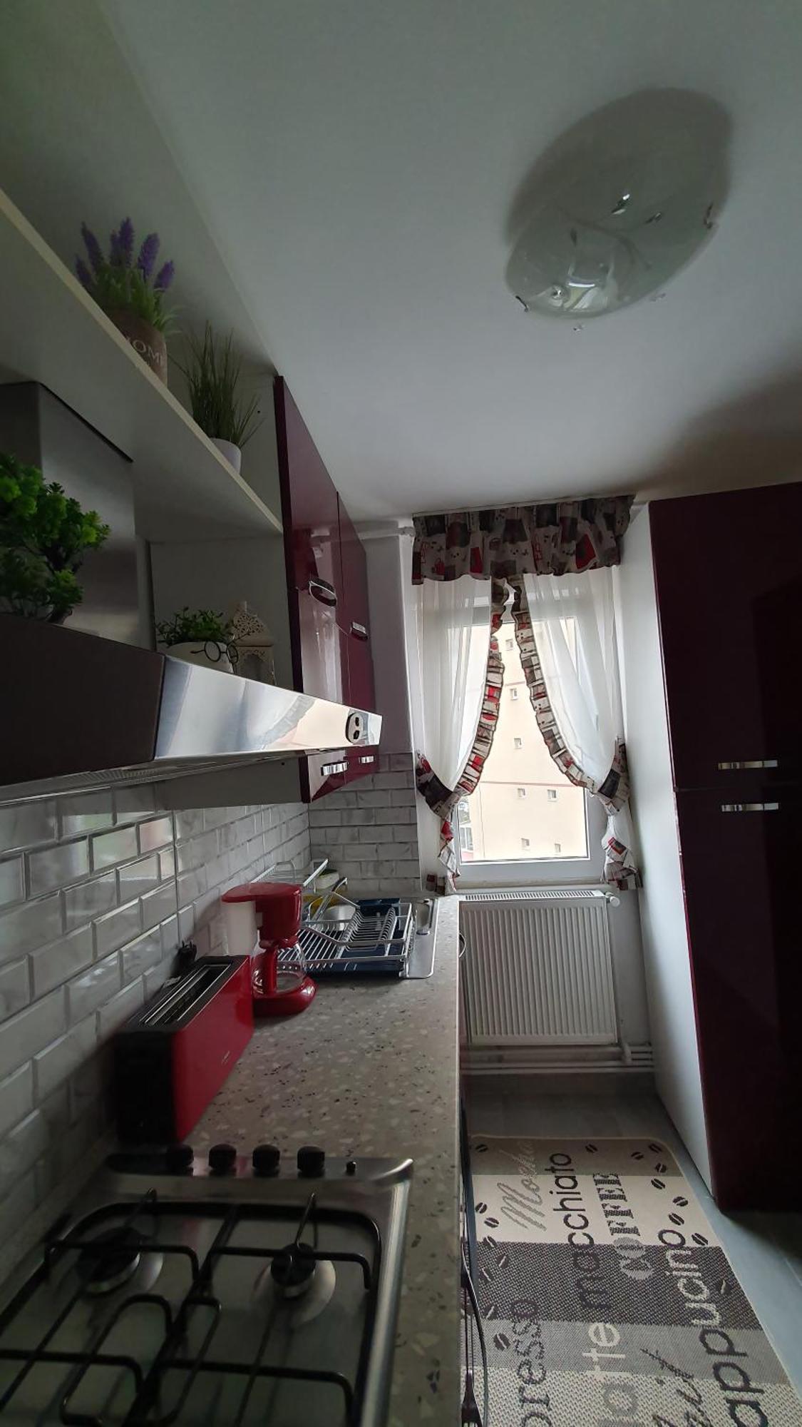 Andrei Apartment Braşov Dış mekan fotoğraf