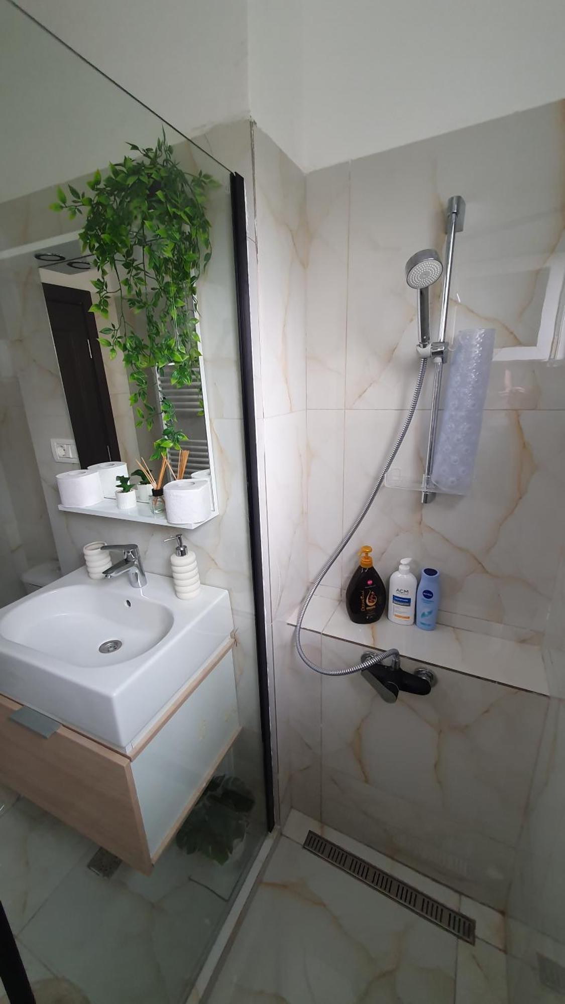 Andrei Apartment Braşov Dış mekan fotoğraf